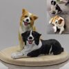 Custom 3D figurine for pets