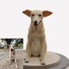 Custom 3D figurine for pets