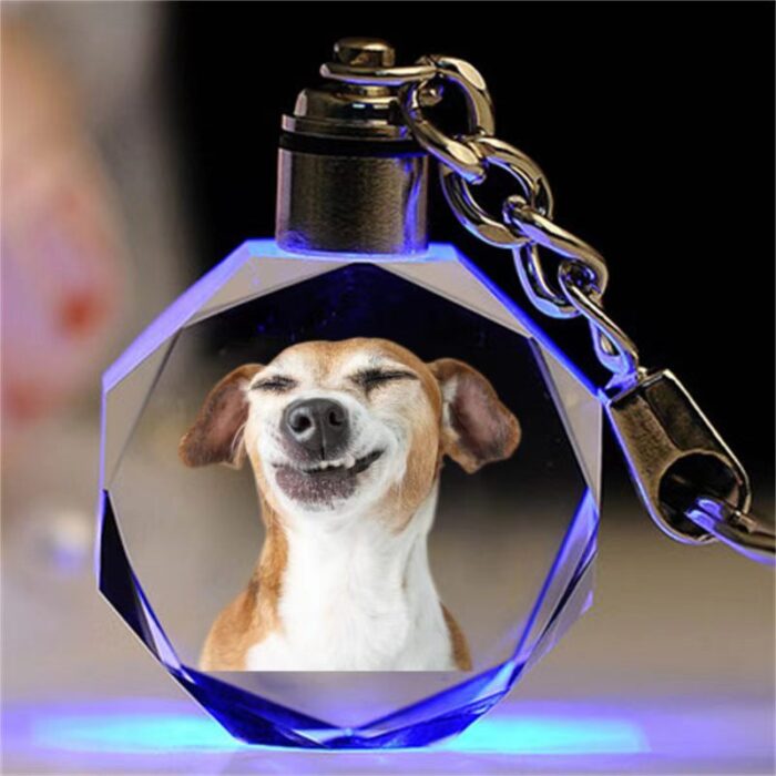 Weixin Image_20260413163343_74_4 Personalized Dog & Cat Photo Keychain – Custom Crystal Pet Portrait Keyring