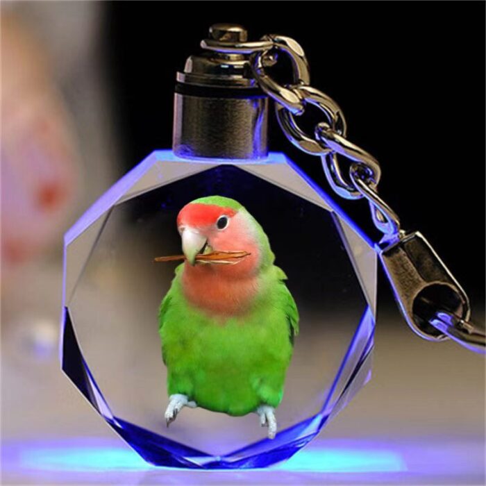 Weixin Image_20260413163345_78_4 Personalized Dog & Cat Photo Keychain – Custom Crystal Pet Portrait Keyring